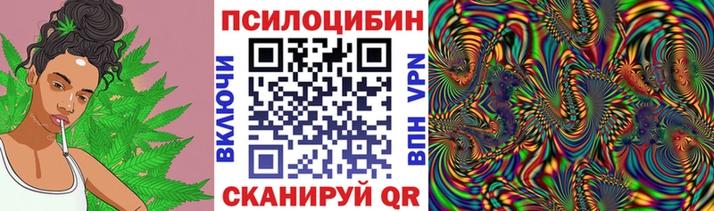 Галлюциногенные грибы Psilocybine cubensis  где купить наркоту  Геленджик 