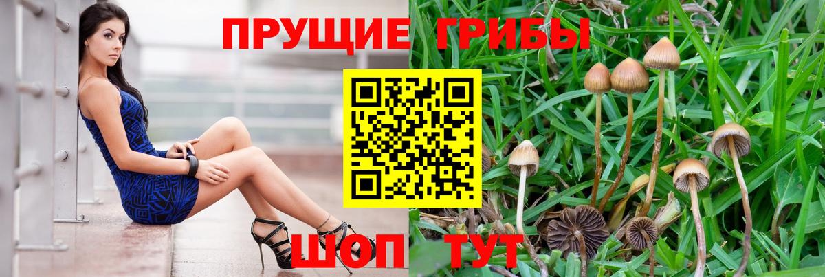 Псилоцибиновые грибы MAGIC MUSHROOMS Геленджик