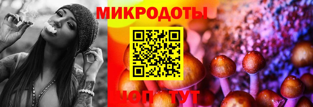 Псилоцибиновые грибы GOLDEN TEACHER  Галлюциногенные грибы прущие грибы  Вход с VPN  Геленджик 